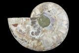 Agatized Ammonite Fossil (Half) - Madagascar #88251-1